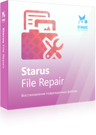 File Repair box