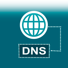 DNS и IP-адрес